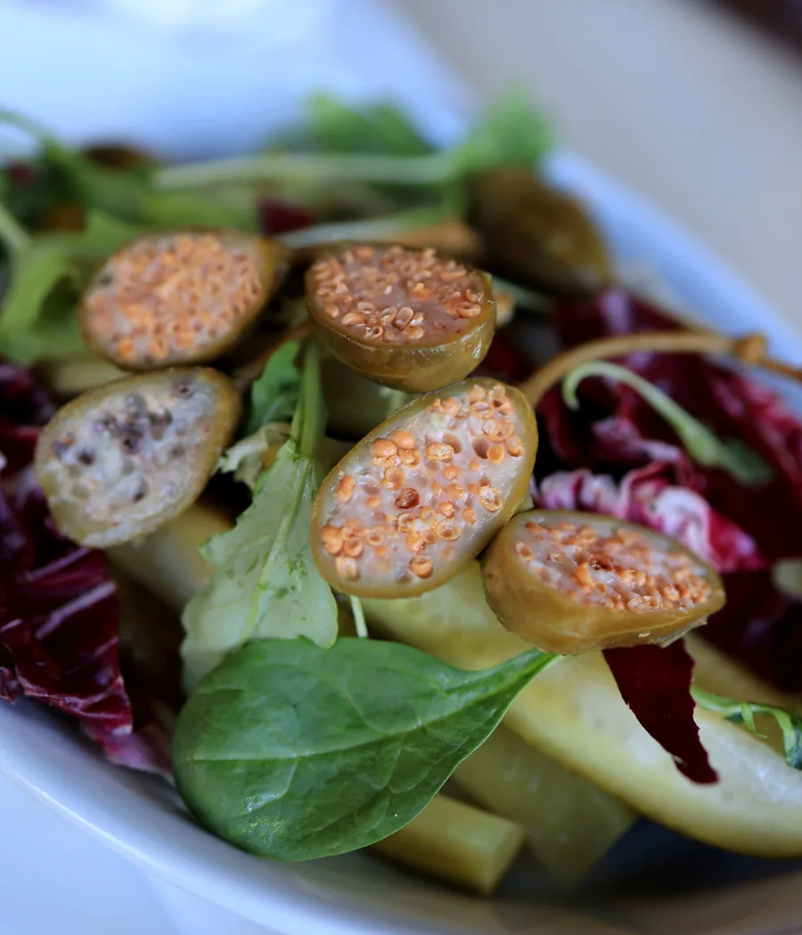 Fresh salad